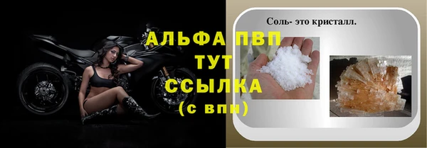 стаф Нея